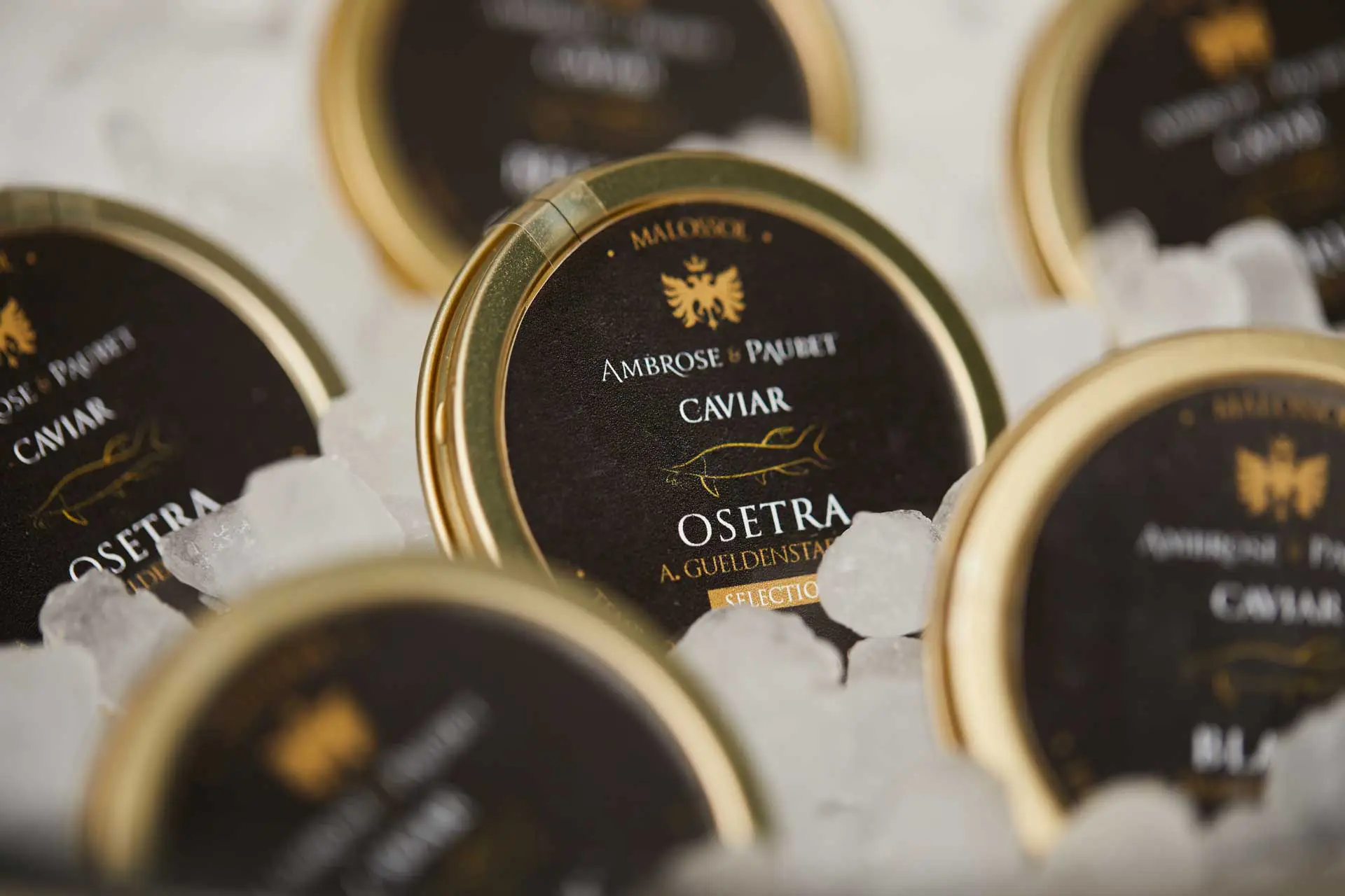 Buy Caviar Online Ambrose & Paubet