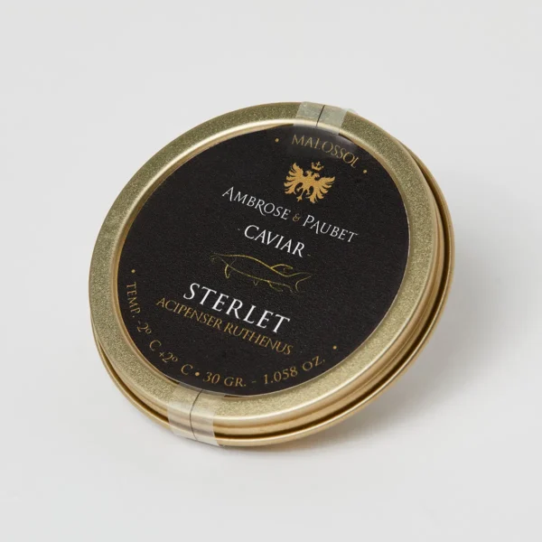 Caviar Sterlet Albino - Imagen 2